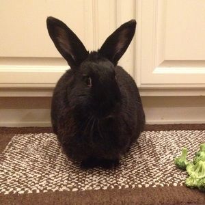 Meet your Posher, Christian